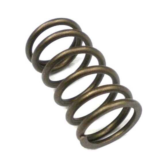 CATERPILLAR C9, VALVE SPRING OUTER
