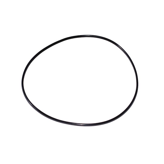 CUMMINS L10 | M11, SEAL RING